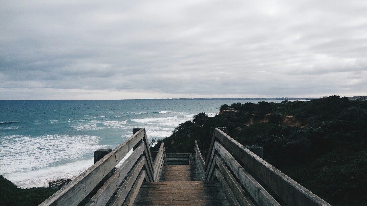 wolfdeyre:  i want to go back, and never leave. 