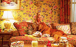 kingthraanduil:  Every Pushing Daisies Episode↳ 1x01 Pie-lette 