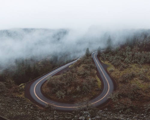 andrewtkearns:  Rowena