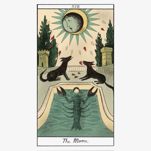 Marseille Tarot Deck Illustrated By Virginia Mori, Edited By Fanucci Editore, First Hundred Copies With