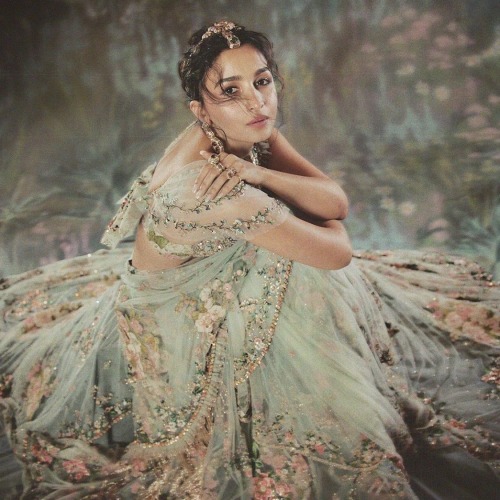 Alia Bhatt Wearing Sabyasachi At The 2024 Met Gala's "Garden Of Time". Photographed By Greg Swales.