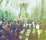 morsmordre-x:  harry potter meme: two movies [&frac12;] » Goblet of Fire