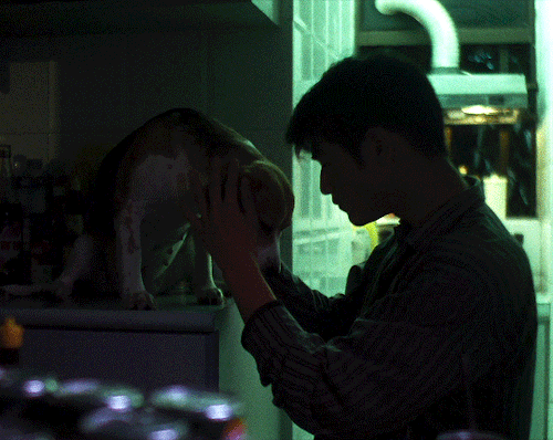 filmgifs:If memories could be canned, would they also have expiration dates? If so,