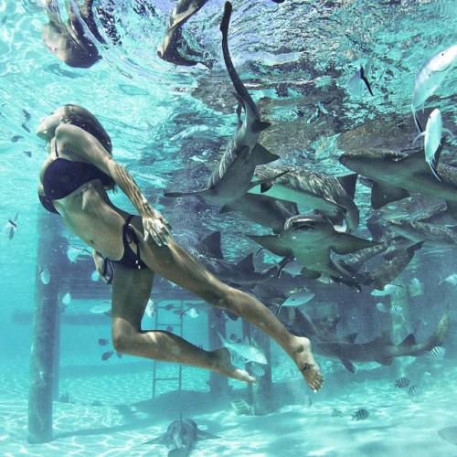 topinstagirls: Check out @devinbrugman and more at topinstagirls.tumblr.com ♡ [JOIN] Underwater babe