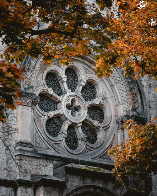 moody-nature: autumn views // By Niklas Hamman