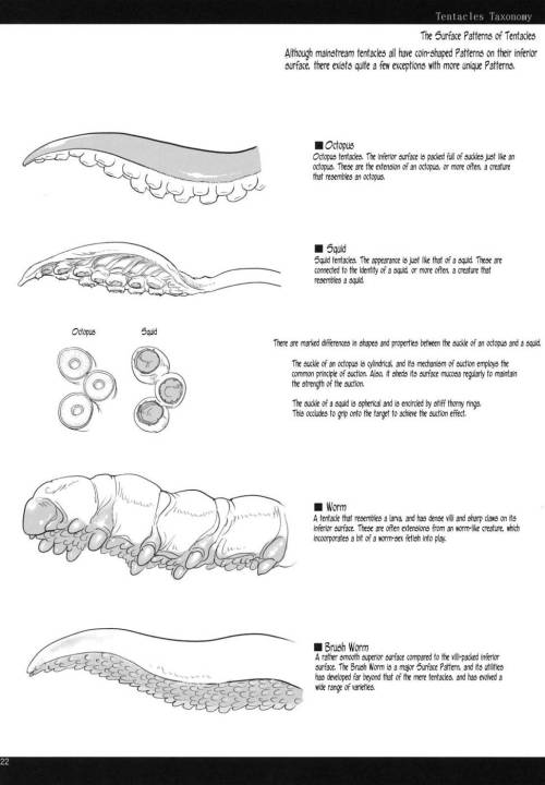 gateaugrimoire: Tentacles Taxonomy by Unknown porn pictures