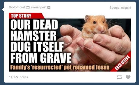 &hellip;&hellip;&hellip;&hellip;. please implode soon USA&hellip;
