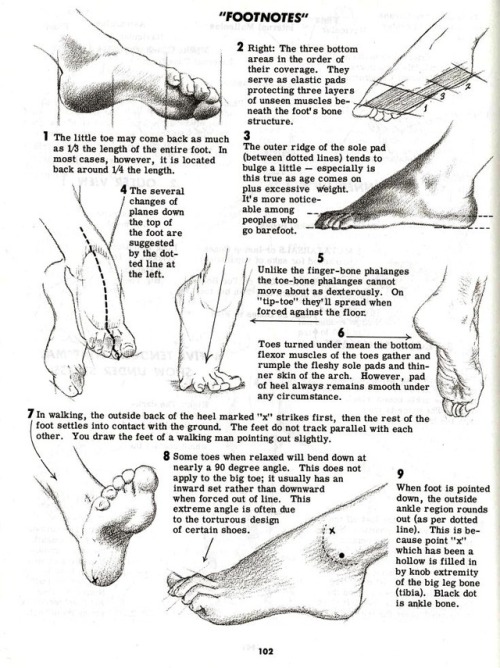 talesfromweirdland:How to draw feet: scanned pages from a handbook explaining just that. Feet and sh