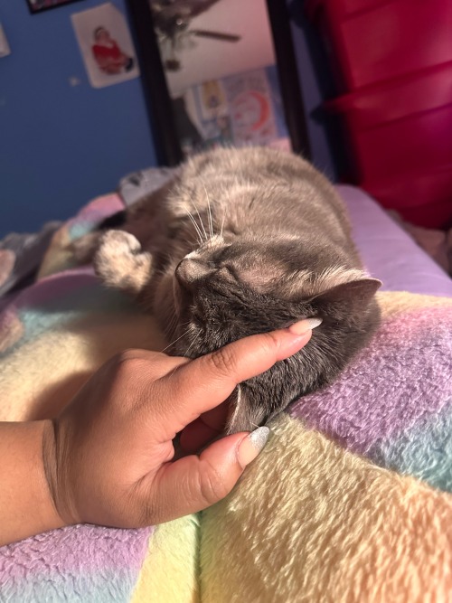 My Baby Nyla, Shes So Sweet