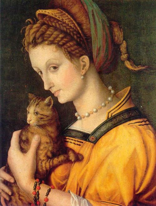colin-vian:    Bacchiacca - Ritratto di giovane donna con un gatto 1525