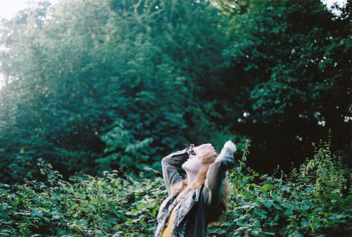 arquerio: untitled by emilyharriet on Flickr.