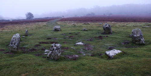 thesilicontribesman: Birkrigg Stone Circle, near Ulverston, Lake District on the Winter Solstice 201