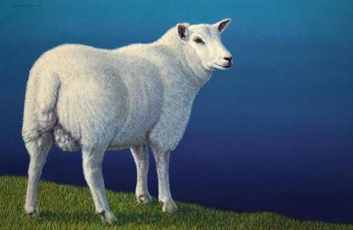 “Sheep At The Edge"  |  James W. Johnson