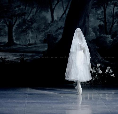 thepointes:The Mikhailovsky Theatre’s “Giselle”© Nikolay Krusser