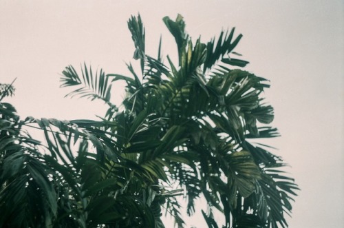 Terry Magson Analogue Photographer