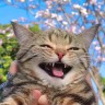 moonlitmartyr:Can&rsquo;t believe they don&rsquo;t coat tampons in opium