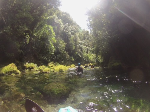 Paddled the most amazing river on the planet on Saturday! Waiari Gorge is spring fed and so clean yo