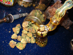 Always High, Never Dry