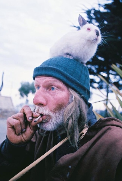 amsterdamlife420: alienatedmartian: 420drugsandtits:r-trees:  Old guy with a rabbit on his head smok