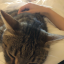 softpunkz0