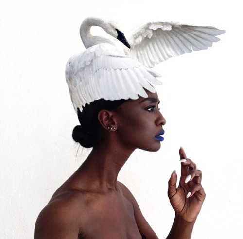 youngparis:  Beautifully digitized headpieces from Designer & Artist Loza Maléombho“Alien Edits” is an effort to bring awareness on social and cultural issues that affect people of my generation and empowers them with uplifting messages