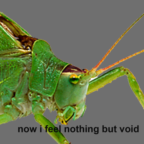 void is neutral,,,,,,,,,,,,,,,,,,,,,, you mini wheats don’t know a thing of about,,,,,,,,,,,,,,,,,,,