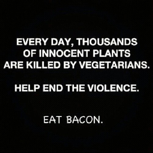 vegasmo:theproblemchild21:Lol. #Vegans #Bacon #Nomnomnom .• U.S. could feed 800 million people with 