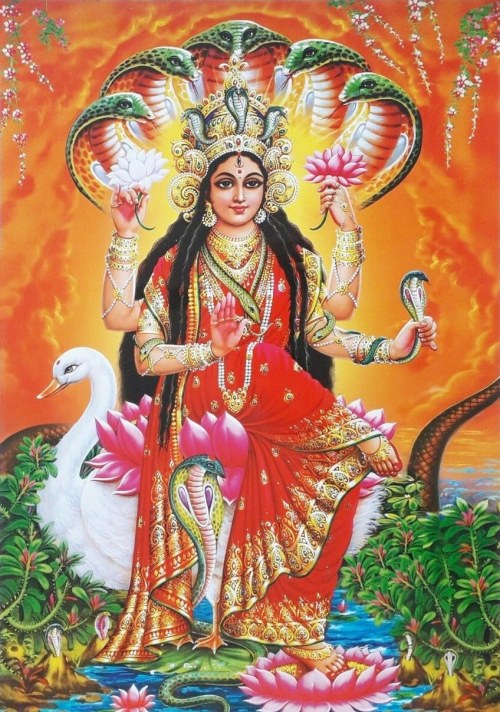 Hindu Cosmos - Snake Goddess Manasa Devi (via eBay: indian_ash)