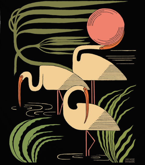 Mike Willcox