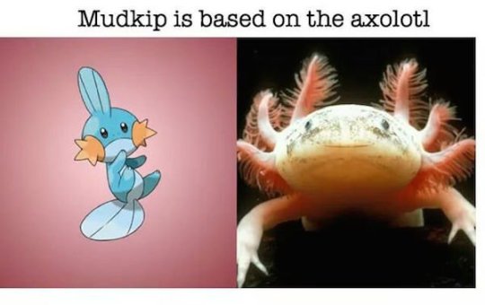 Real world animals that inspired Pokemon