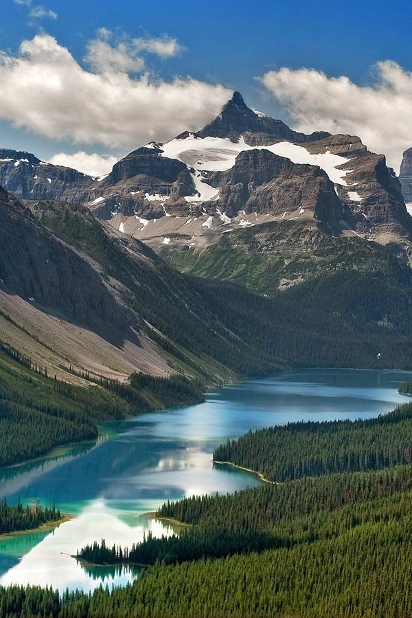 natureac:  This blog will make you feel at peace   Ugh gorgeous!