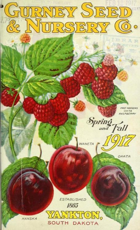 heaveninawildflower:Illustrated front and back covers of  ‘Gurney Seed & Nursery Co, Spring and 