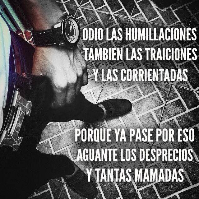 Lo que se ve, se creé
