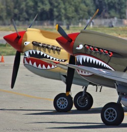 beautifulwarbirds: