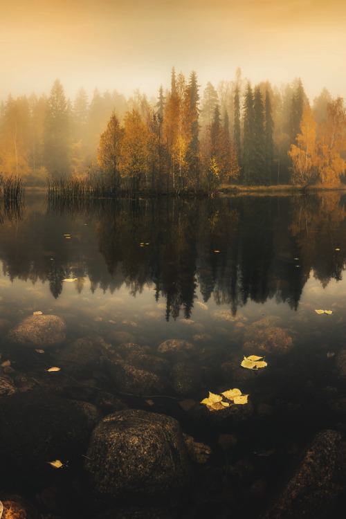 captvinvanity: Lauri Lohi | Transparent Mirror 