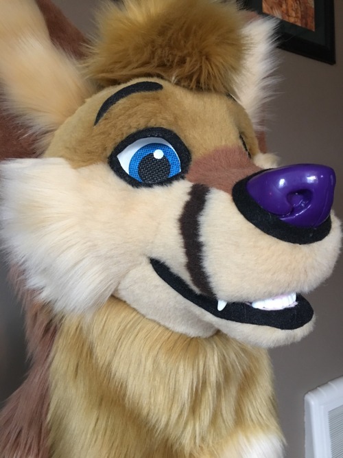 Here&rsquo;s the Zann head I did!! Zann is owned by Lvanhound.