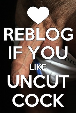 biblogdude:  trickydicky50:  LOVE uncut cock!