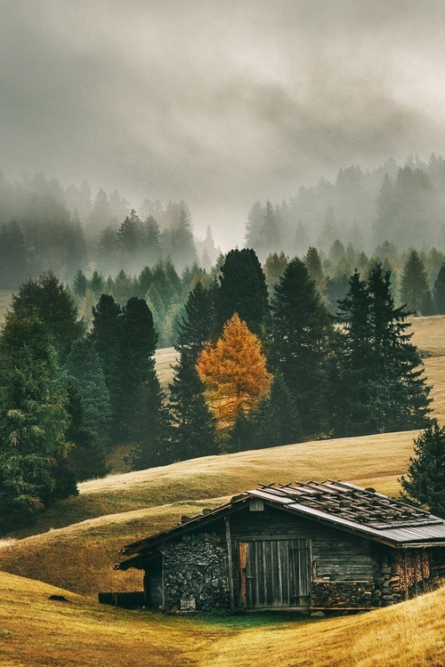 immortal-autumn:  Around my Little World | via Tumblr on We Heart It.  @drsnglr