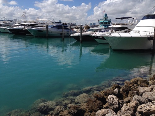 Miami Beach Marina.