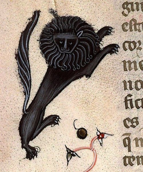 enchantedbook: Black Lion, Bartholomeus Anglicus, De proprietatibus rerum, Toulouse CA. 1350