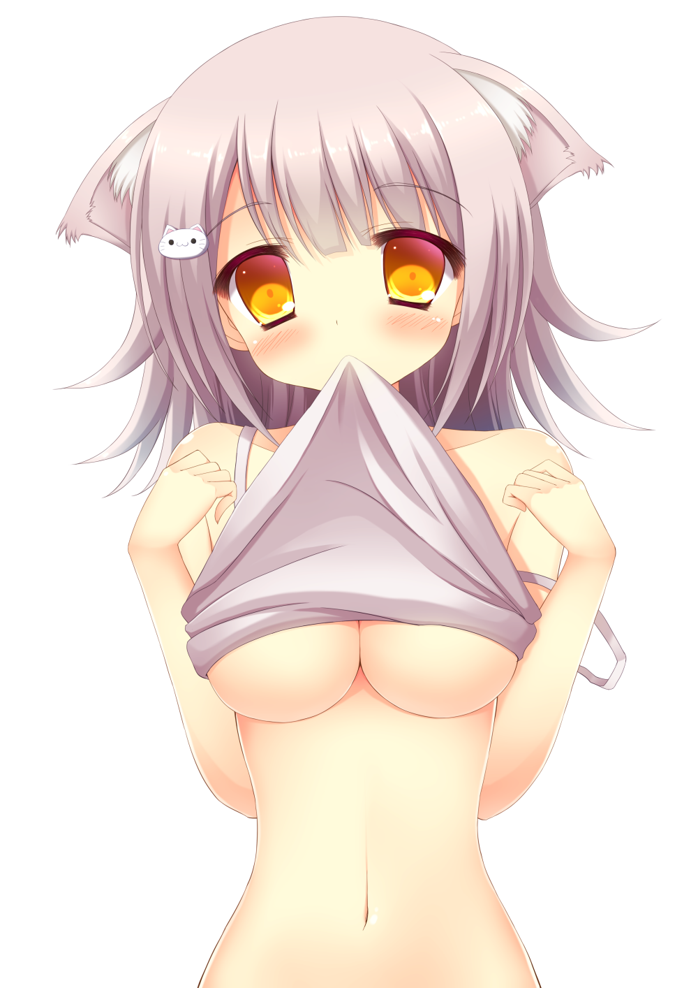 Sexy catgirls and stuff