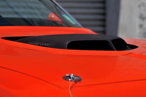 xmanusa: theoldiebutgoodie: 1971 Plymouth ‘Cuda Hemi Bad azzzzzz Cuda!!!!