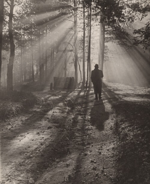 Ján Halaša - Jesenné Ráno (K Cieľu), 1939