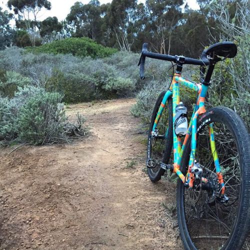 dfitzger:  by @squidbikes: Single track maze through SoCal chaparral. Always a good way to start the