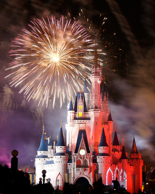 disneycamera:  Cinderella Castle (by Matt Pasant)
