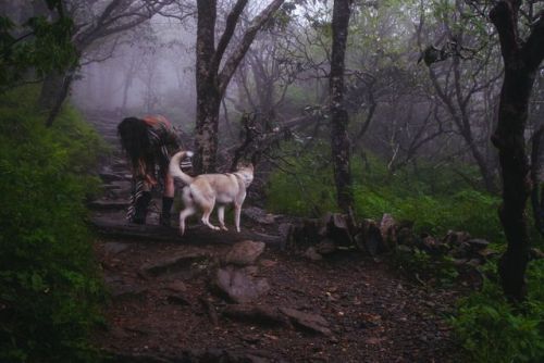 naked-yogi:  two forest dwellers