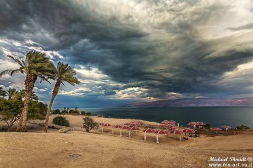 tvfreakd: Spring 2014, Israel. [1. Shokeda Forest | 2. Dead Sea | 3. Ha’Ella Valley | 4. Haifa