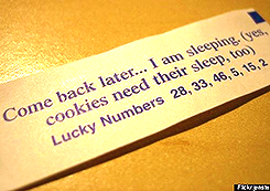 feyminism-blog:  Totally Useless Fortune Cookies (x) 