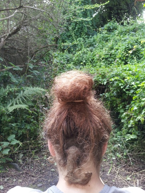 feministcaptainkirk:  blexicana:  woodmeat:animetittys:  mayanushka:  jugo-de-mango:assdownloader: christel-thoughts:  thebloominuniverse:  This is the back of james’ head. He hasn’t washed or brushed his hair in months, and all of it was pretty much
