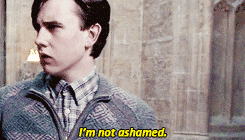 excepttheeyes:  Book Quotes: Order of the Phoenix - Christmas on the Closed WardNeville